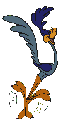 Road Runner