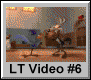 LT Video 6